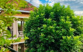 Petra Homes